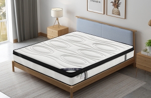 樱桃视频成人APP梦宝厂家