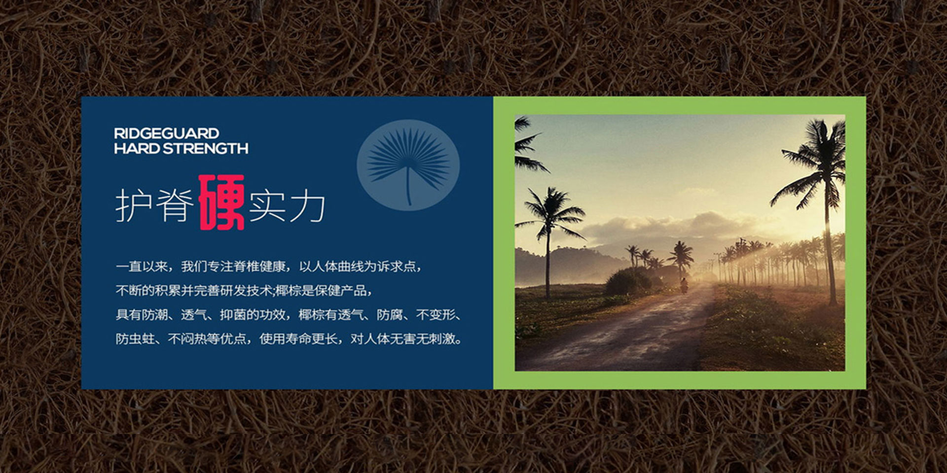 樱桃视频成人APP