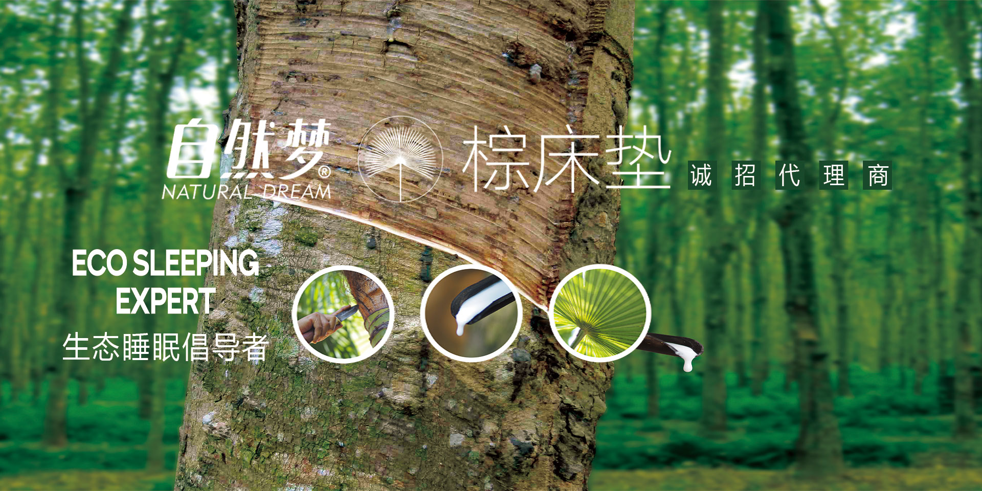 樱桃视频成人APP