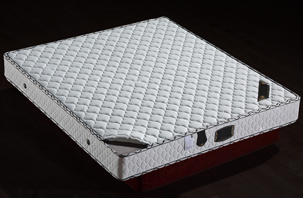 樱桃视频成人APP