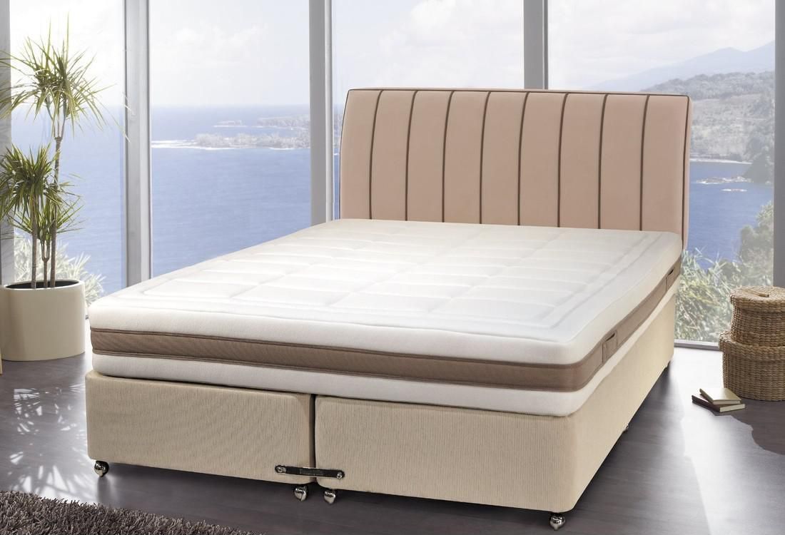 樱桃视频成人APP