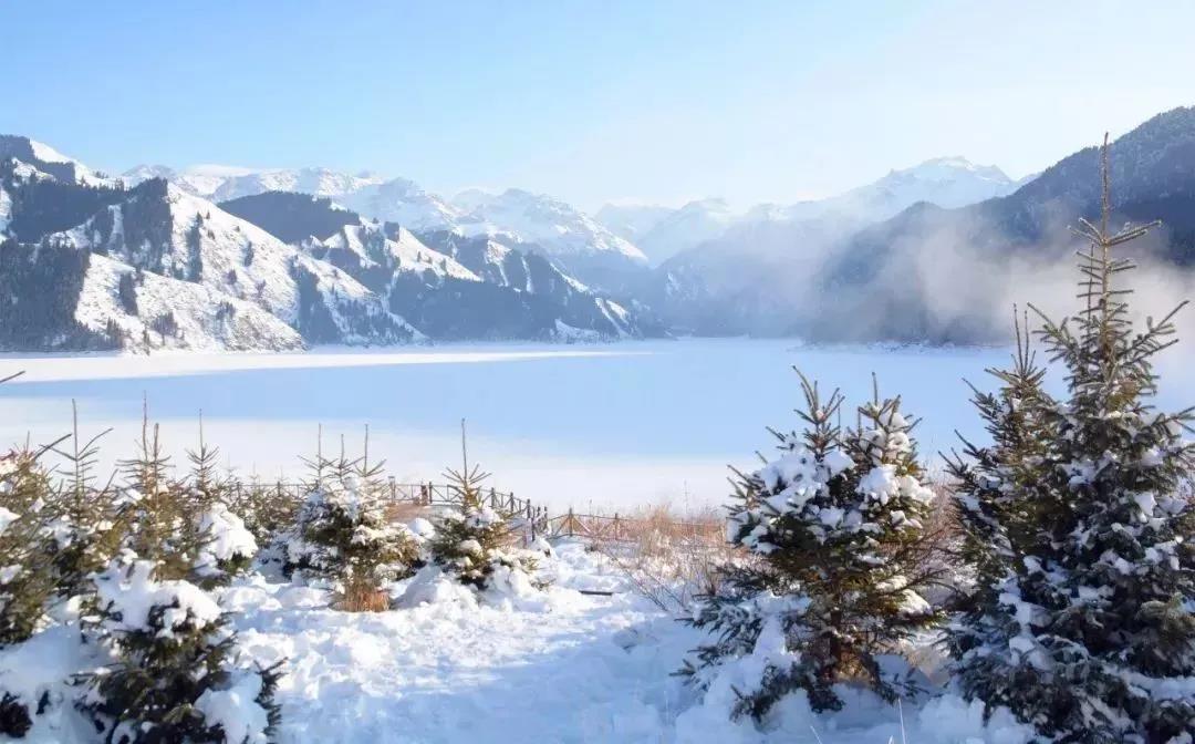 樱桃视频成人APP 樱桃视频成人APP